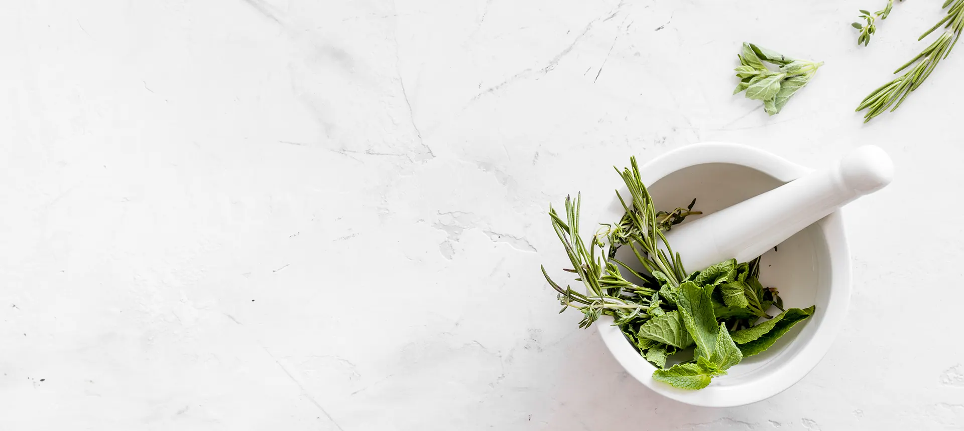 Plantes aux mille vertus